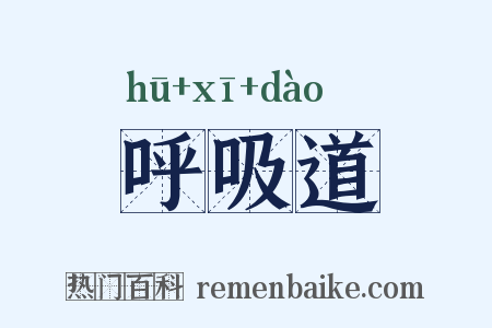 呼吸道是什么意思的图片